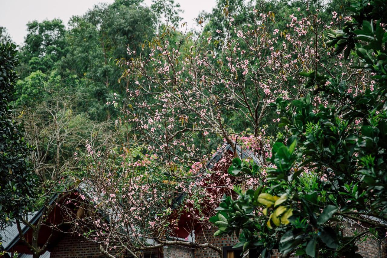 Cat Ba Spring Garden Homestay Hien Hao Eksteriør billede